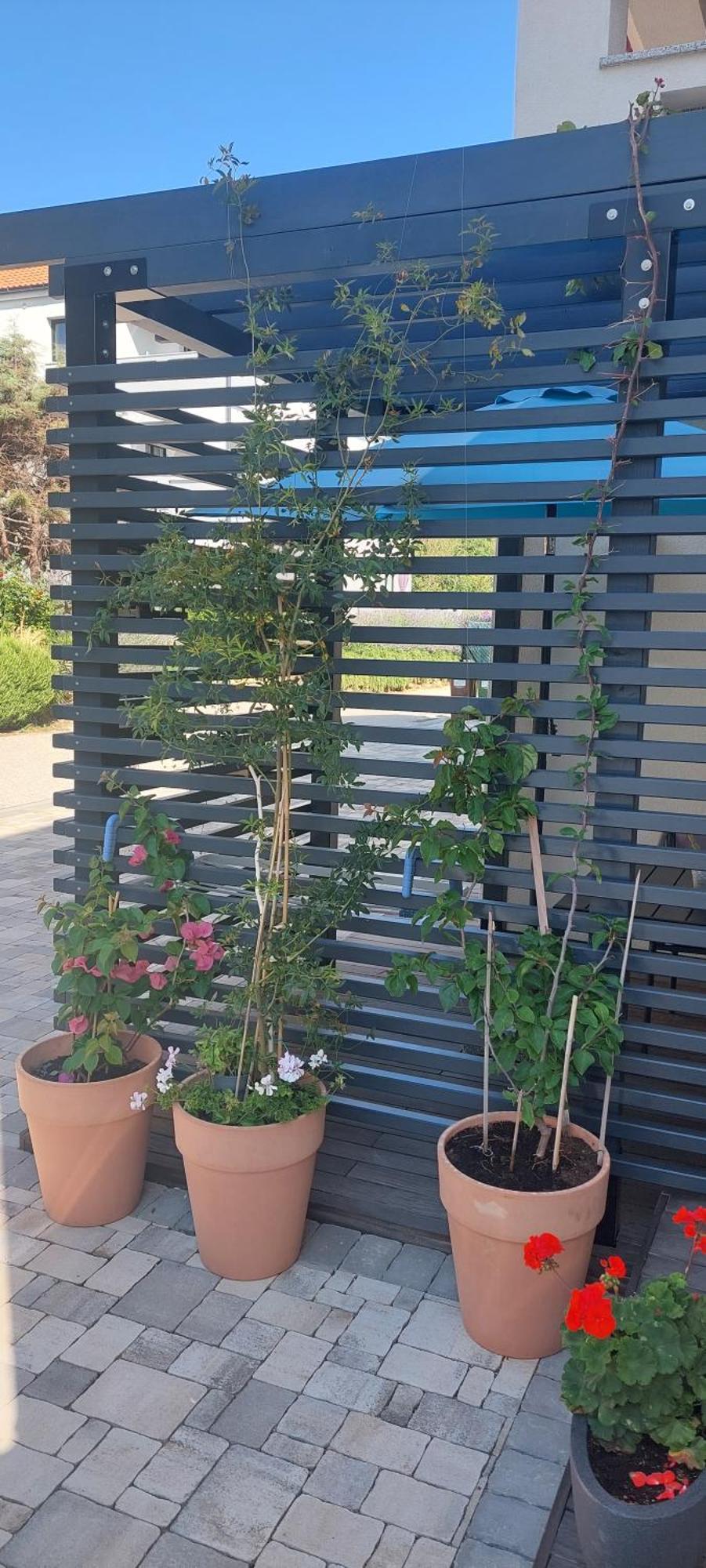 Apartments Matea Baška Екстериор снимка